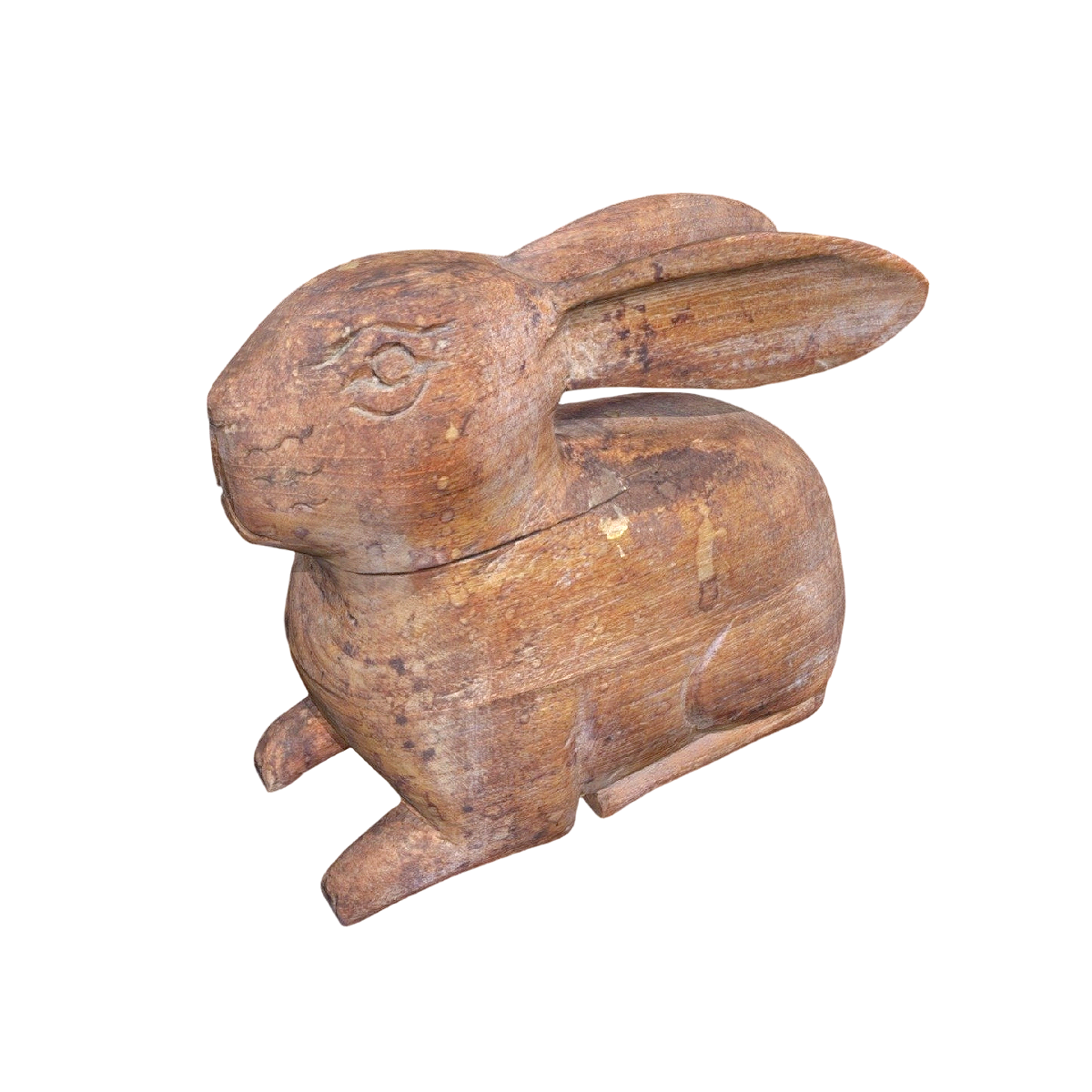 安第斯秃鹰（带3D动画模型）