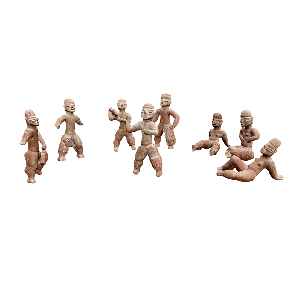 安第斯秃鹰（带3D动画模型）