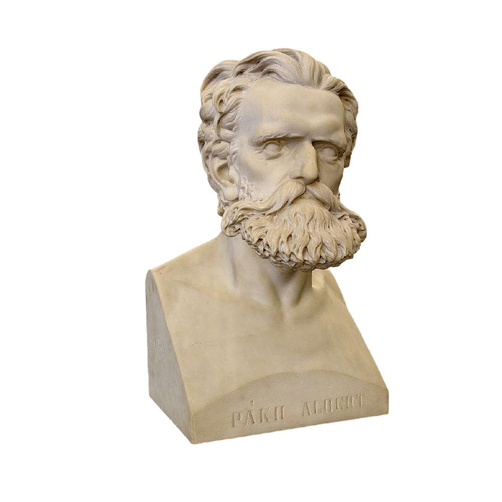 安第斯秃鹰（带3D动画模型）